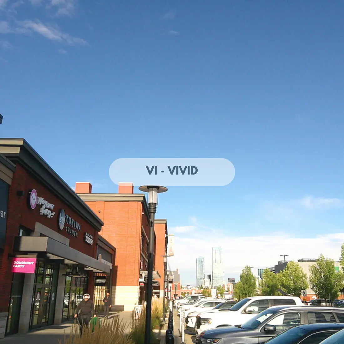 VI — Vivid